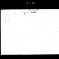 Primary sheet