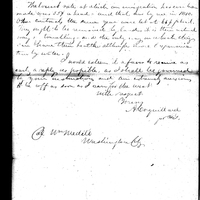 Primary sheet