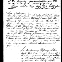 Primary sheet