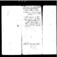 Primary sheet