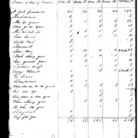Primary sheet