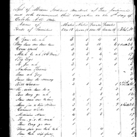 Primary sheet