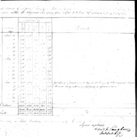 Primary sheet