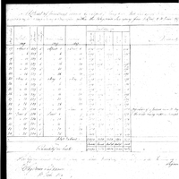 Primary sheet