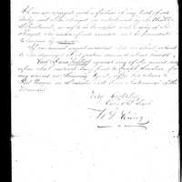 Primary sheet